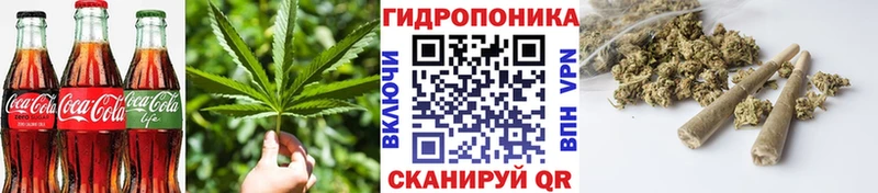 дарк нет телеграм  купить   Кашин  Canna-Cookies конопля 