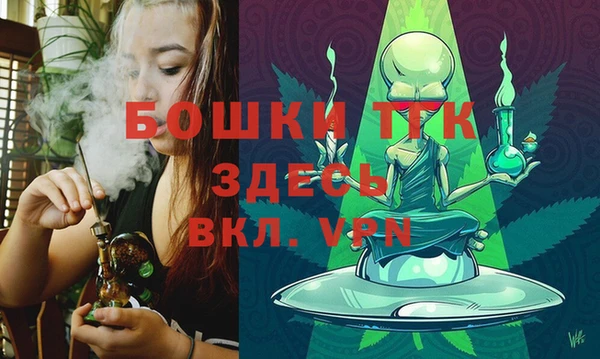 хмурый Верея