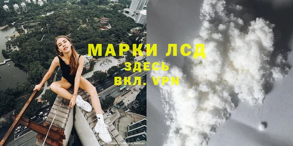 apvp Бородино