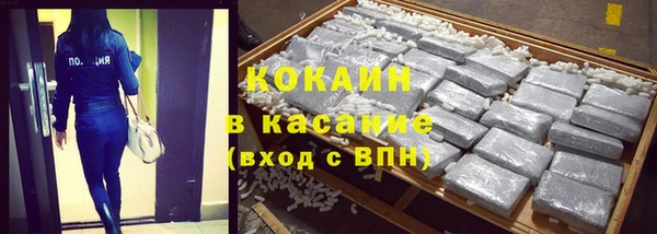 хмурый Верея