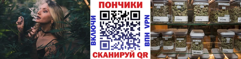 Каннабис семена Кашин